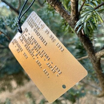 Arnold Arboretum - Parks Near Me - Boston, Massachusetts