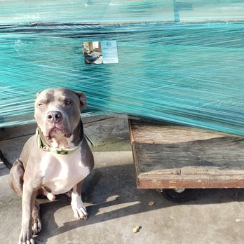Paw by Paw - Banks the furniture model - Pet Training Near Me