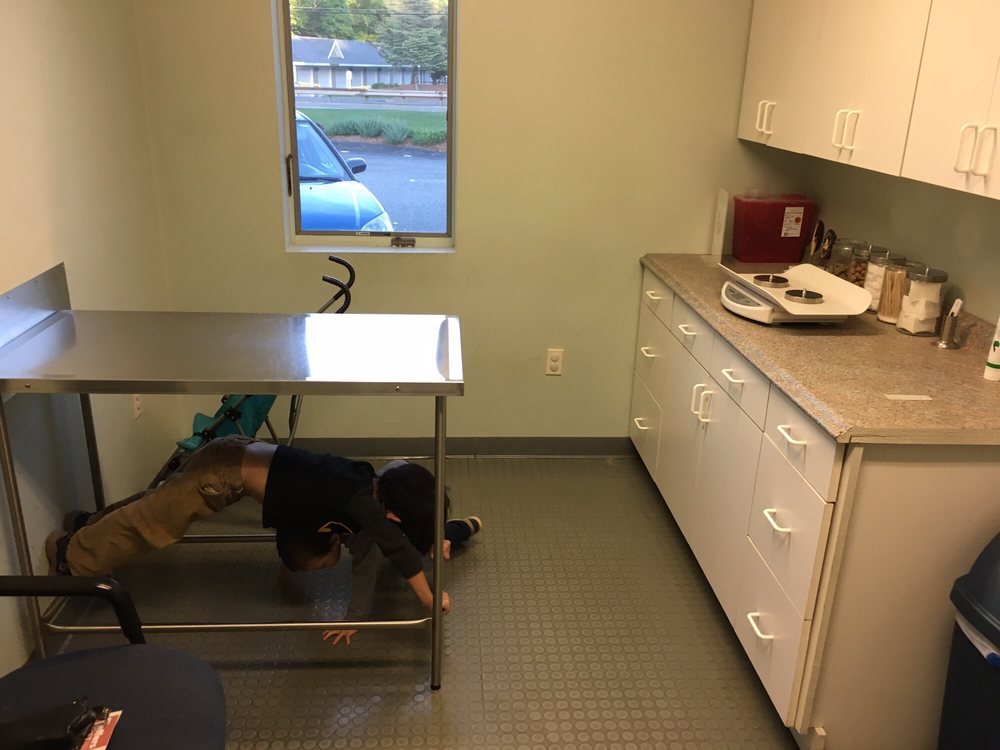 NEW ENGLAND VETERINARY CLINIC & PET RESORT 58 Reviews Veterinarians