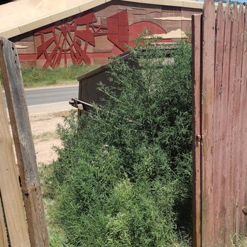 Minnix Property Management - Blocking pathway to get to trash bin - Property Management Near Me - Lubbock, Texas Minnix Property Management - Blocking pathway to get to trash bin - Property Management Near Me - Lubbock, Texas