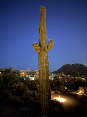 Four Seasons Resort Scottsdale by null
