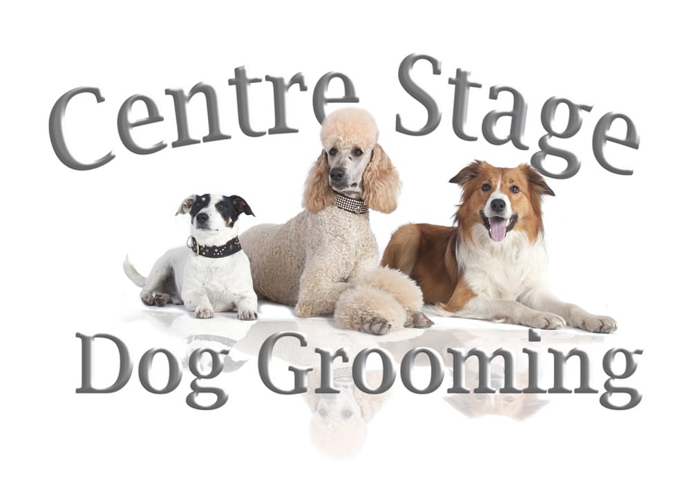 CENTRE STAGE DOG GROOMING Updated August 2024 Request an