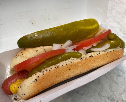 America's Dog by null