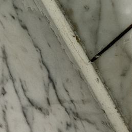 Mildew/mold in every crevice of the bathroom