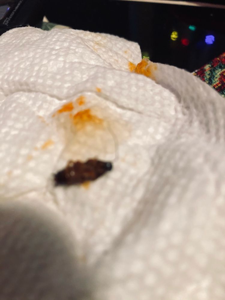 TAQUERIA JALISCO Updated September 2024 10 Photos 626 N Oak St