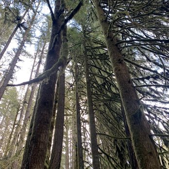 Silver Falls State Park - Hiking Near Me - Sublimity, Oregon Silver Falls State Park - Hiking Near Me - Sublimity, Oregon