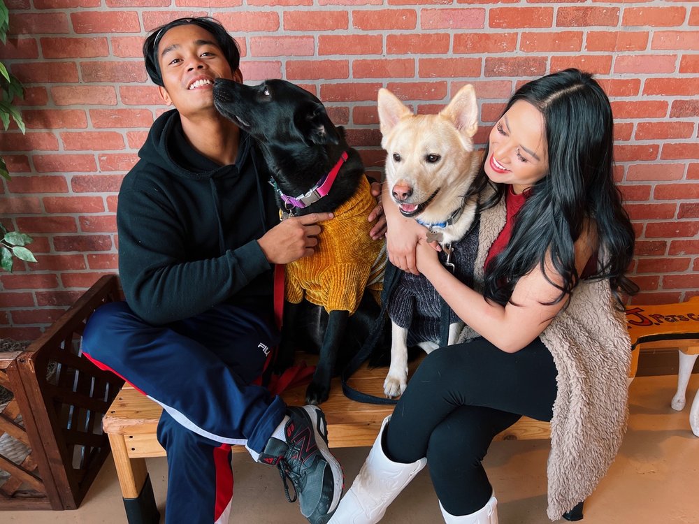 PJ's Pet Cafe - pet boarding facility in Long Beach, CA