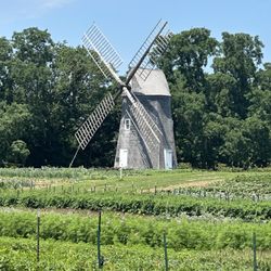 Sylvester Manor Educational Farm