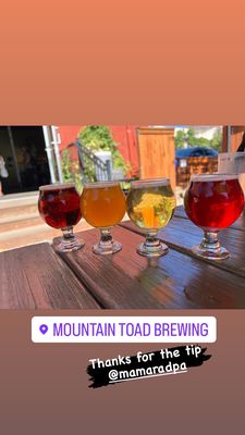 Mountain Toad Brewing by null