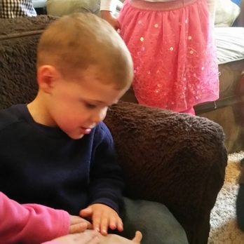 Cool Critters Outreach - Wildlife Control Near Me