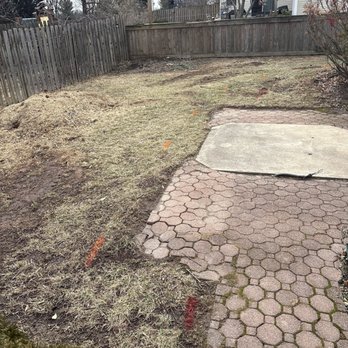Ventura Landscaping - Before - Tree Services Near Me