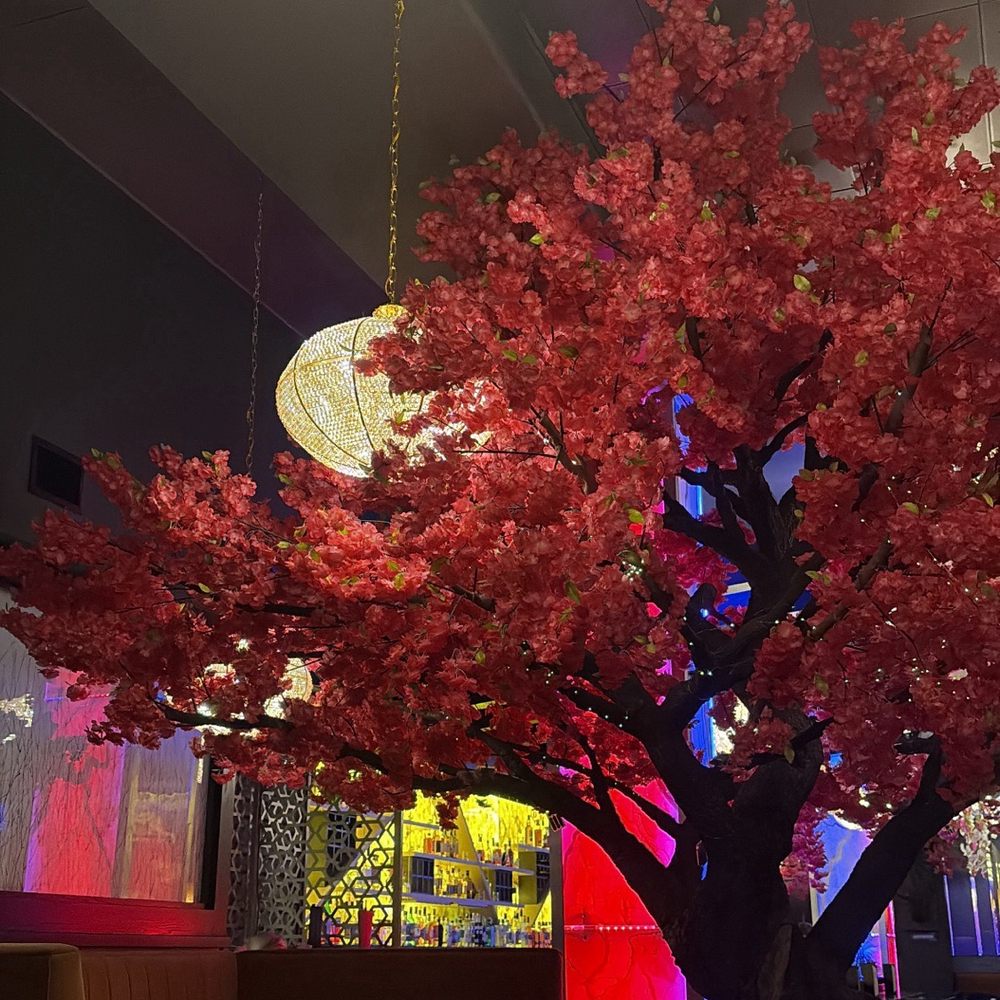 Saigon Blossoms - Blossom Tree Inside - Vietnamese Near Me - Tucson, Arizona Saigon Blossoms - Blossom Tree Inside - Vietnamese Near Me - Tucson, Arizona