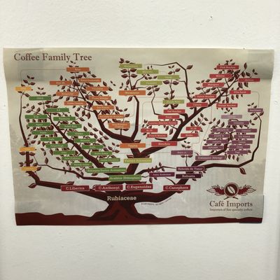 City Bean Roasters by null