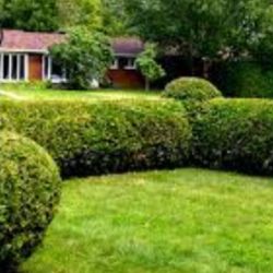 Guynn's Lawn Care