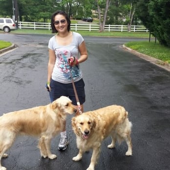 Fetch! Pet Care - Jenny Chang with pet clients Winnie and Seaver. - Pet Sitting Near Me Fetch! Pet Care - Jenny Chang with pet clients Winnie and Seaver. - Pet Sitting Near Me