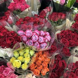 Winn-Dixie - So pretty