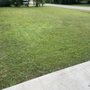 Photo of TNT Lawn Services