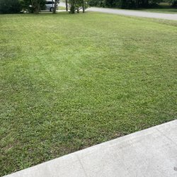 TNT Lawn Services