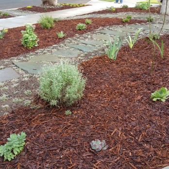 The Plant Connection - a garden with a sidewalk and a fire hydrant - Landscaping Near Me - Northridge, California The Plant Connection - a garden with a sidewalk and a fire hydrant - Landscaping Near Me - Northridge, California