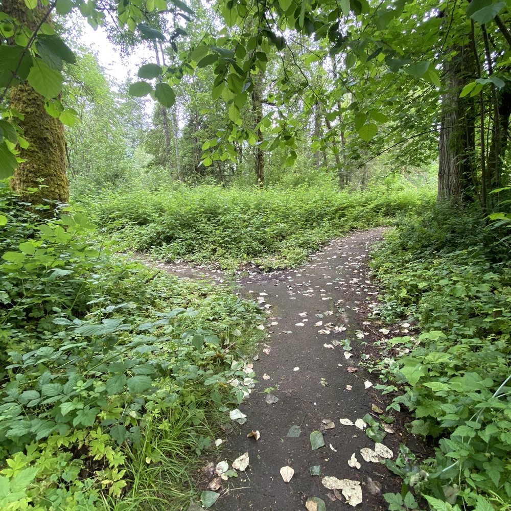 Champoeg State Park - Fork in the road, which path will you choose - Campgrounds Near Me - Saint Paul, Oregon Champoeg State Park - Fork in the road, which path will you choose - Campgrounds Near Me - Saint Paul, Oregon