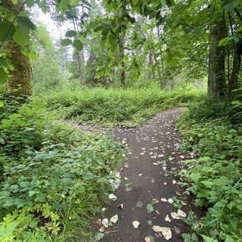 Champoeg State Park - Fork in the road, which path will you choose - Campgrounds Near Me - Saint Paul, Oregon