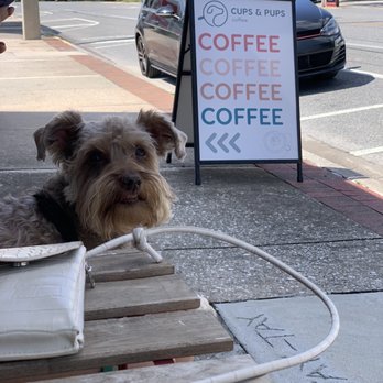 Cups & Pups Coffee - Outside - Coffee & Tea Near Me - Orlando, Florida Cups & Pups Coffee - Outside - Coffee & Tea Near Me - Orlando, Florida