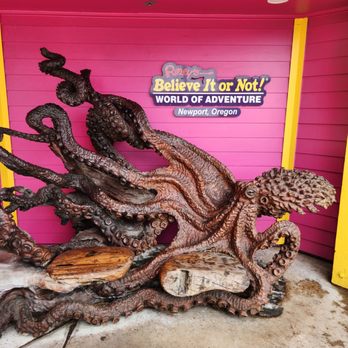 Ripley's Believe It or Not! World of Adventure - Museums Near Me - Newport, Oregon Ripley's Believe It or Not! World of Adventure - Museums Near Me - Newport, Oregon
