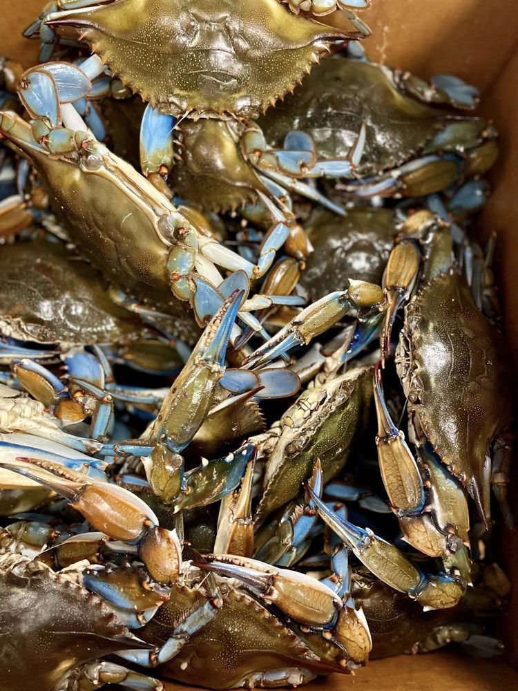 Crabby's Oyster Bar Image