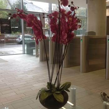 The Aviva Stadium - Reception area - Stadiums & Arenas Near Me - Dublin, D