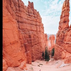 Cruise America Motorhome Rental & Sales