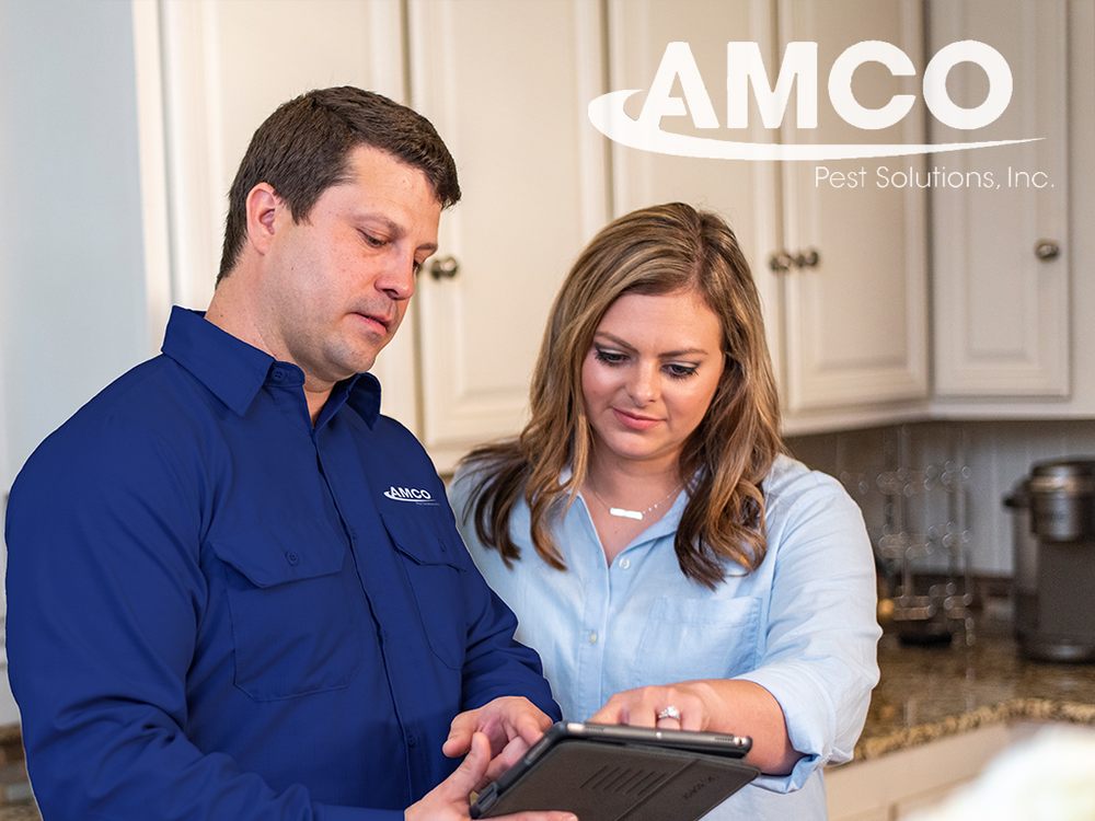AMCO PEST SOLUTIONS Updated October 2024 11 Photos & 10 Reviews