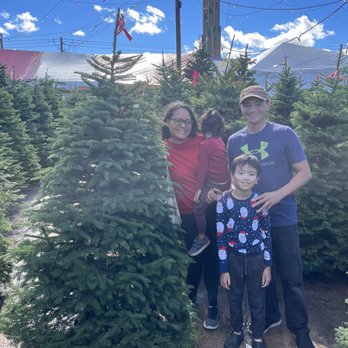 Moon Valley Nurseries - 5-6' Noble Fir - Nurseries & Gardening Near Me - Houston, Texas
