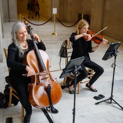Musical Heart Strings
