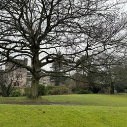 Ruthin Castle