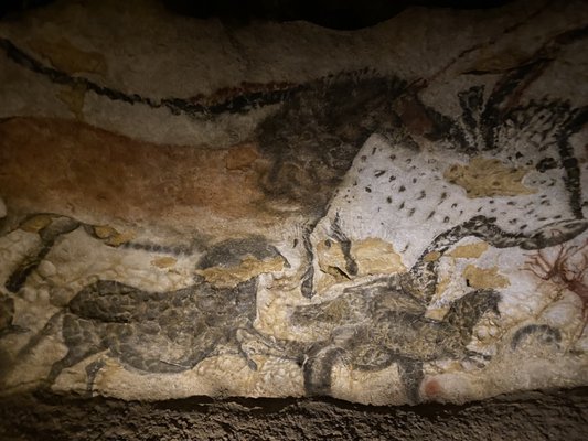 Lascaux by null