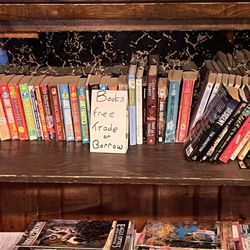 Antler Lodge Resort - Cute little library area - there were games available - cribbage etc to play at the bar area