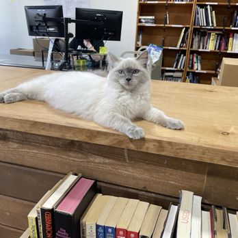2nd Chance Books - Used Bookstore Near Me - San Marcos, Texas 2nd Chance Books - Used Bookstore Near Me - San Marcos, Texas