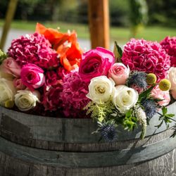 Red Bank Flowers