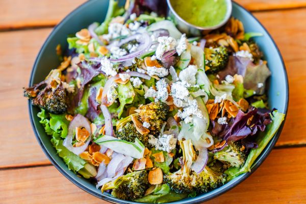 The Boozy Mutt by null