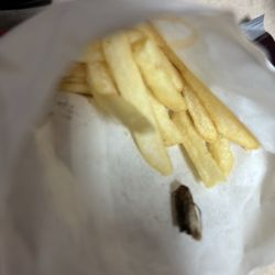 McDonald's - A FRIED COCKROUCH!