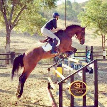 Global Sport Horse Stables - Horseback Riding Near Me - Temecula, California Global Sport Horse Stables - Horseback Riding Near Me - Temecula, California