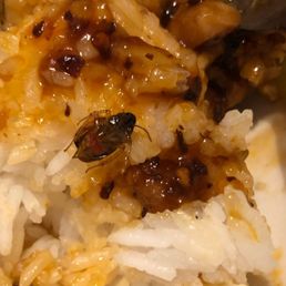 I can't believe I found this towards the end of my food. Gross!!!