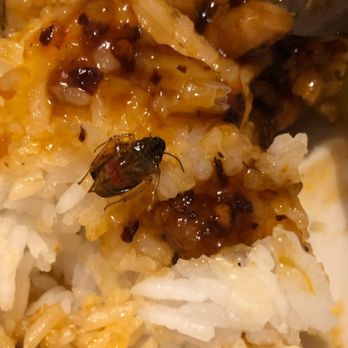 Dragon Express - I can't believe I found this towards the end of my food. Gross!!! - Chinese Near Me - Lewisville, Texas