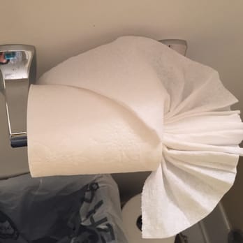 iQ Cleaning - Even my toilet paper is spruced up! - Home Cleaning Near Me - Washington, DC, District of Columbia