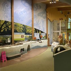 Holliday Park - It's hard to beat their nature center.