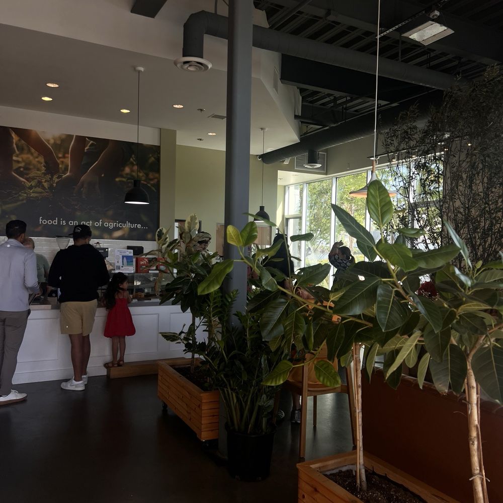 Dot Cafe - Serene Interior - Coffee & Tea Near Me - San Diego, California Dot Cafe - Serene Interior - Coffee & Tea Near Me - San Diego, California
