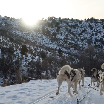 Bear Ridge Adventures - Sledding Near Me - Coalville, Utah