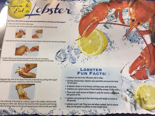 Menu photo 8 Gateway Lunt’s Lobster Pound Trenton, ME
