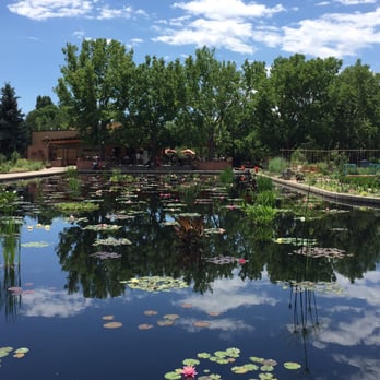 Denver Botanic Gardens - Japanese garden lake - Botanical Gardens Near Me - Denver, Colorado Denver Botanic Gardens - Japanese garden lake - Botanical Gardens Near Me - Denver, Colorado