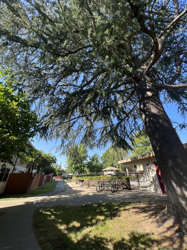 HOWE MANOR EAST Updated August 2024 12 Reviews 2251 Northrop Ave